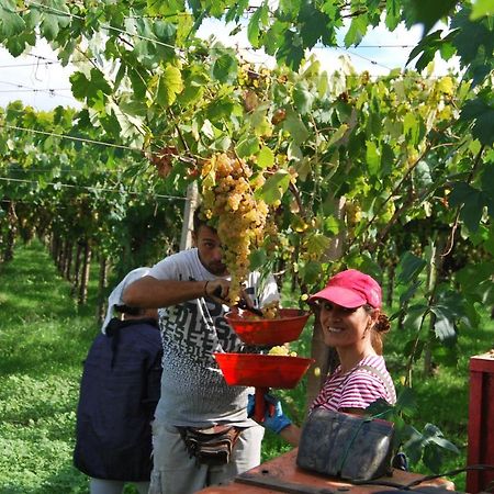 Agriturismo Torre Cristina อาพริเลีย ภายนอก รูปภาพ