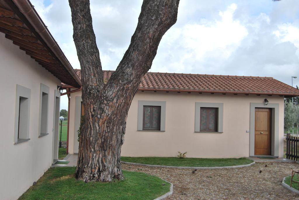 Agriturismo Torre Cristina อาพริเลีย ภายนอก รูปภาพ