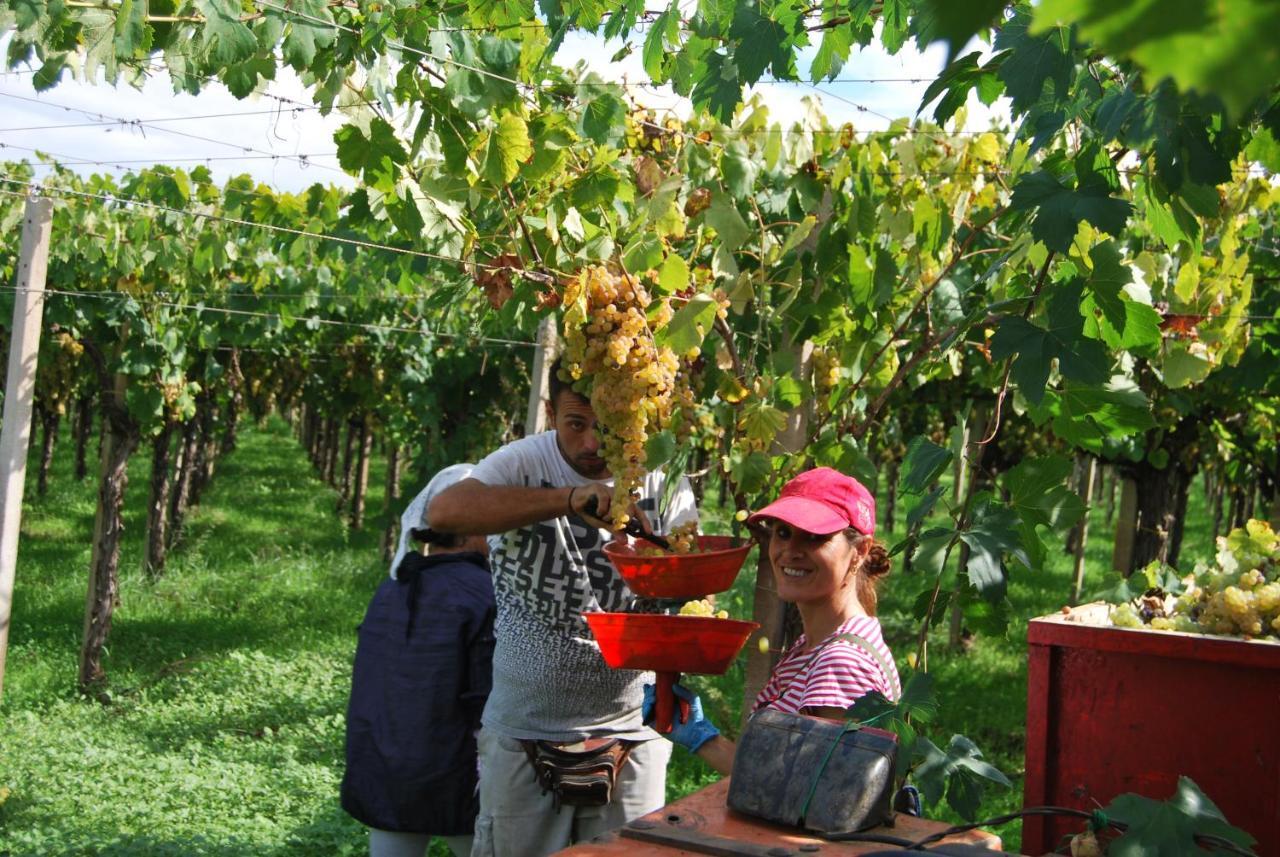 Agriturismo Torre Cristina อาพริเลีย ภายนอก รูปภาพ